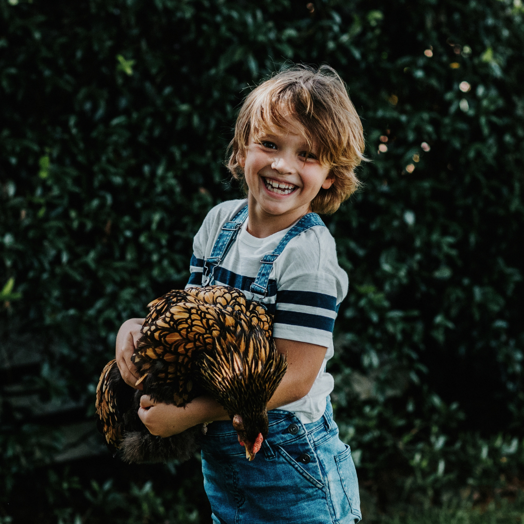 Inside your child's personality