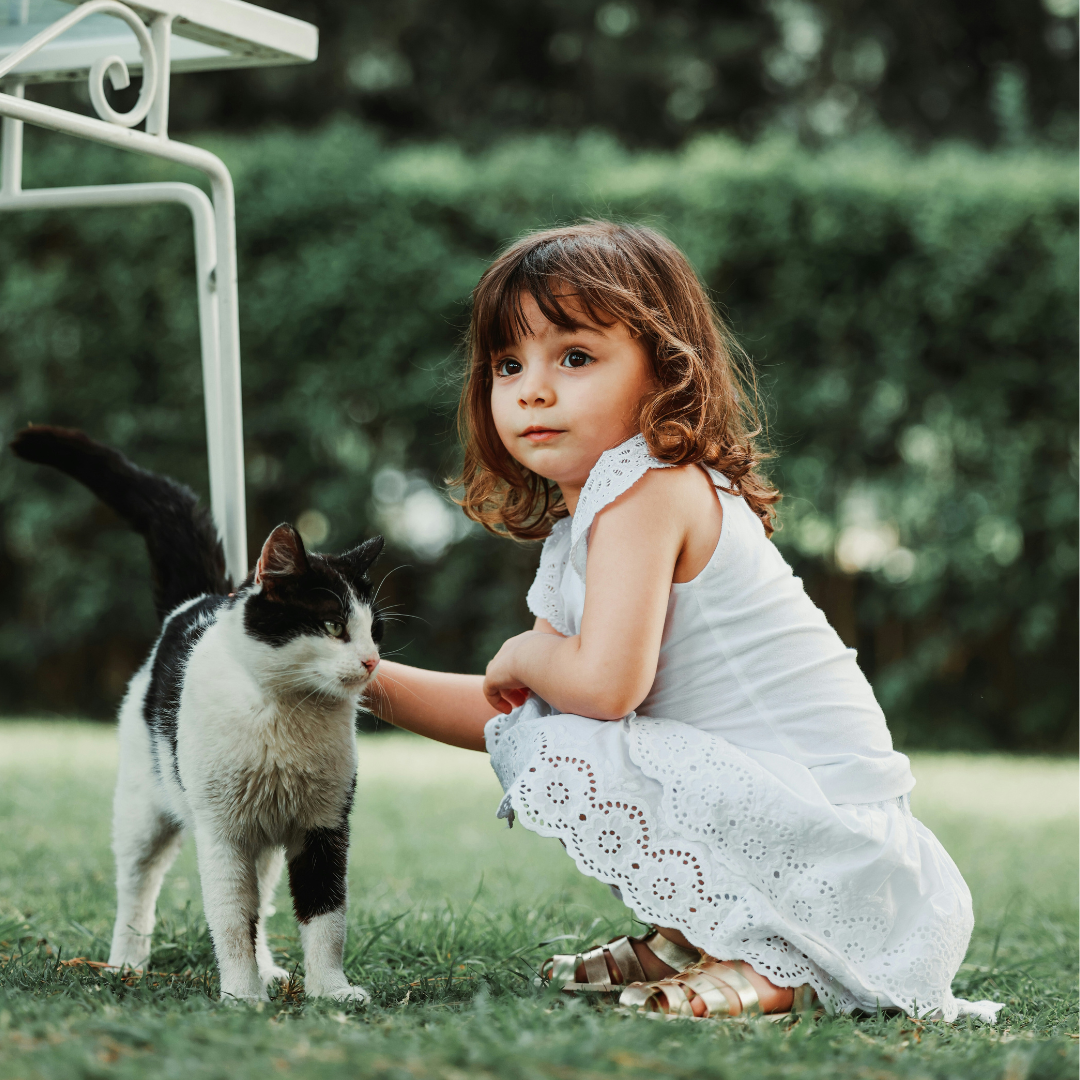How to safely introduce your baby to your family pet