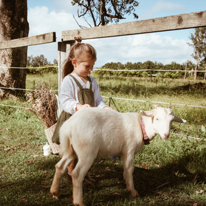 A child petting a baby goat on a farm
